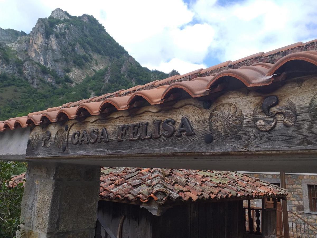 Casa Felisa Lägenhet Pola de Somiedo Exteriör bild